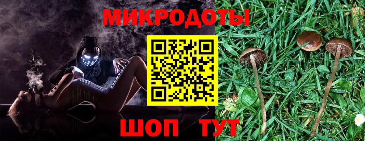 Псилоцибиновые грибы прущие грибы  Псилоцибиновые грибы GOLDEN TEACHER  цена   Менделеевск  Вход с VPN 
